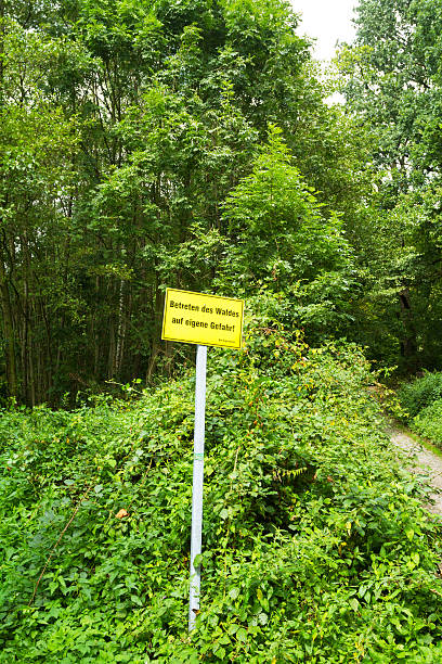 istock Sign for entering woods on own risk 597671630