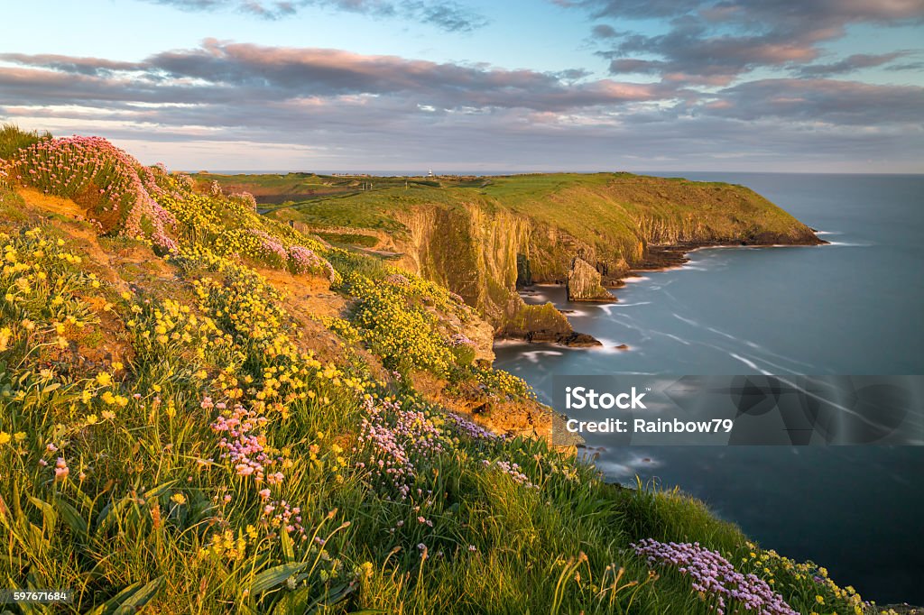 Old Head of Kinsale - Lizenzfrei Corcaigh Stock-Foto