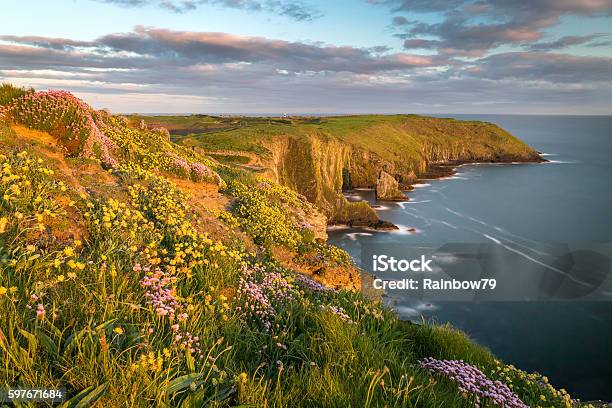 Old Head Of Kinsale Stockfoto und mehr Bilder von Corcaigh - Corcaigh, Strand, Frühling