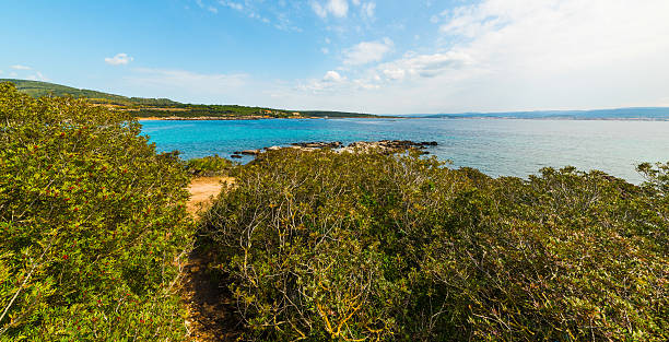 istock Lazzaretto beach on a sunny day 597671834
