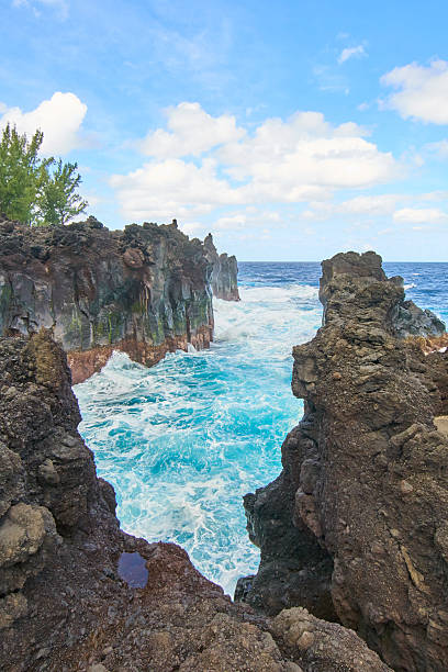 This aerial drone photograph captures a breathtaking vista on Hawaii Island, where the vast expanse of the Pacific Ocean meets the vibrant blue sky. A lone tree stands prominently in the foreground, framing the scene with its lush green foliage and unique silhouette. The image showcases the natural beauty of the island, with its rugged coastline, verdant vegetation, and stunning ocean views.