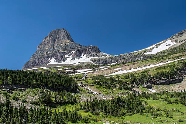 istock Highline Trail in Glacier National Park 597928966