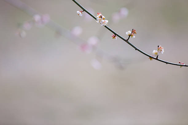 istock The color of the spring 597929024
