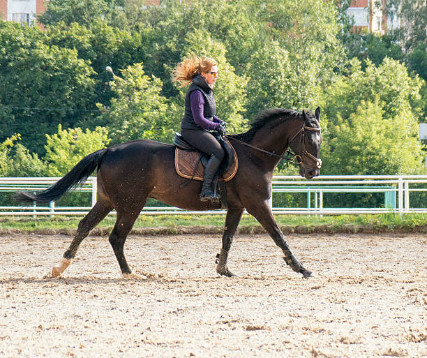 istock Girl riding a horse 597931296