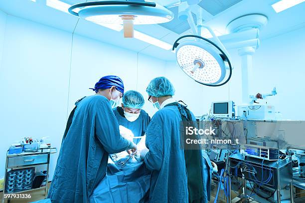 Group Of Veterinarian Surgery In Operation Room Stock Photo - Download Image Now - Surgery, Animal Hospital, Equipment