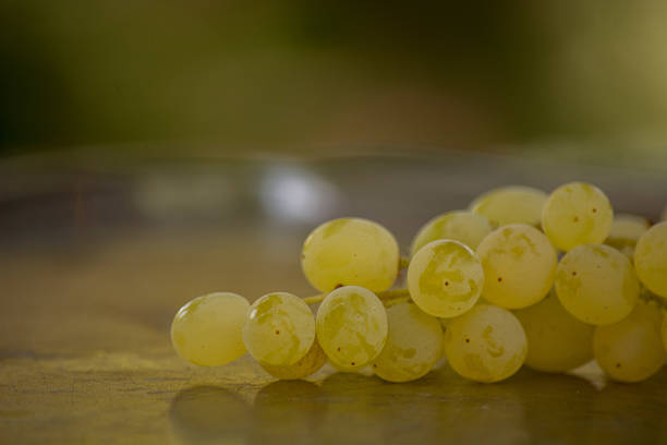 uvas chenin blanc na bandeja - chenin blanc - fotografias e filmes do acervo