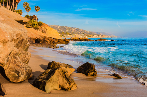 Beach and surf with palm trees at the coastline of Laguna Beach, California