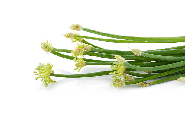 istock Onion flower isolated on white background 597936674