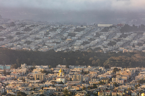 Early morning fog blankets the Background,  Golden Gate Park on the background.