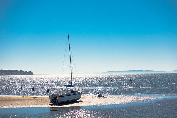 Blaine, Washington, USA - August 24, 2016: Tide Out at Birch Bay, Washington People Wading in Pacific Ocean Boat Stranded on the Sand