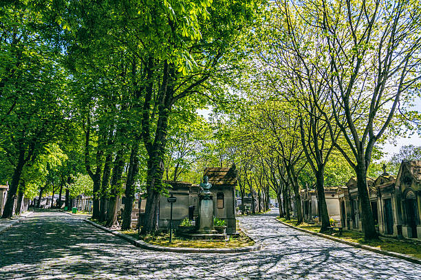 cemitério père lachaise em paris, frança - spooky horror nostalgia autumn - fotografias e filmes do acervo