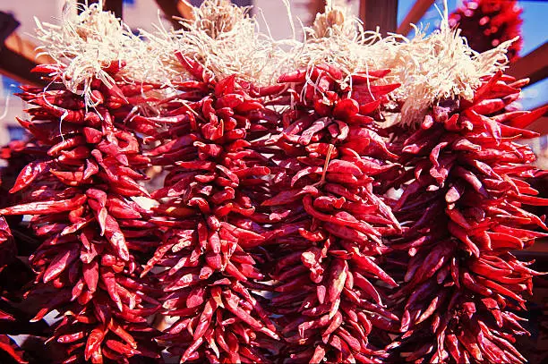 Close-up of hanging chili peppers ristras.