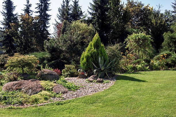 istock Beautiful summer garden design 597942992