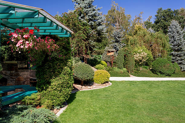 istock Beautiful pergola in garden design 597944308