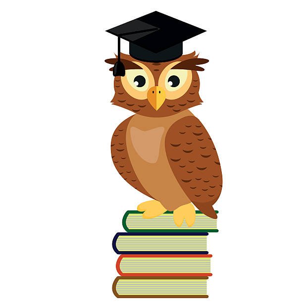 istock Owl graduate in cap sitting on a pile of books 597948170