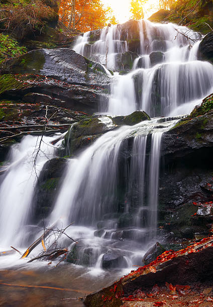 istock beautiful waterfall in forest, autumn landscape 597949530