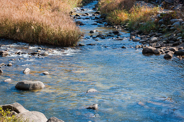 istock river with dry grass in autumn. 597952670