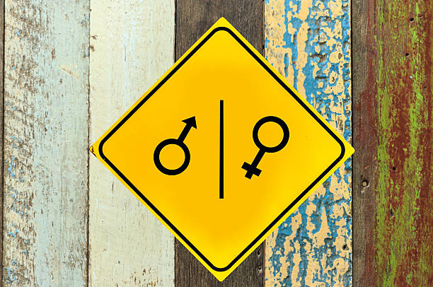 istock Toilet sign on wood wall 597953268