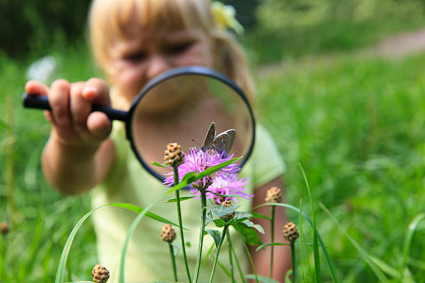 istock Early learning - little girl examining batterfies with magnifying glass 597954232
