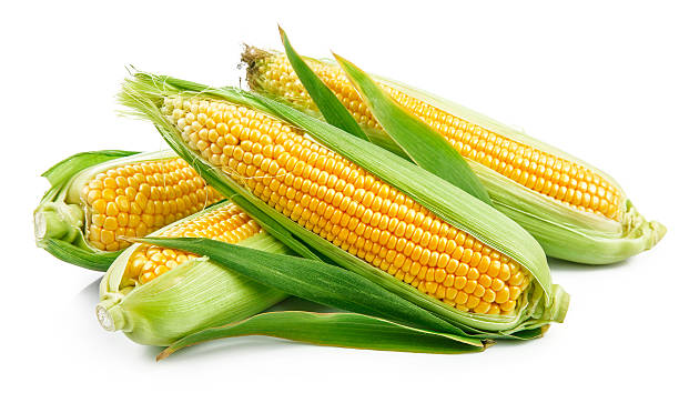 frischer mais mit grünen blättern stillleben gemüse - corn on the cob stock-fotos und bilder