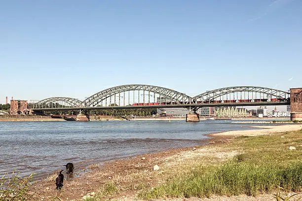 The South Bridge over the Rhine River in Cologne, North Rhine-Westphalia, Germany