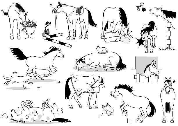 süße pferde - pferdeäpfel stock-grafiken, -clipart, -cartoons und -symbole