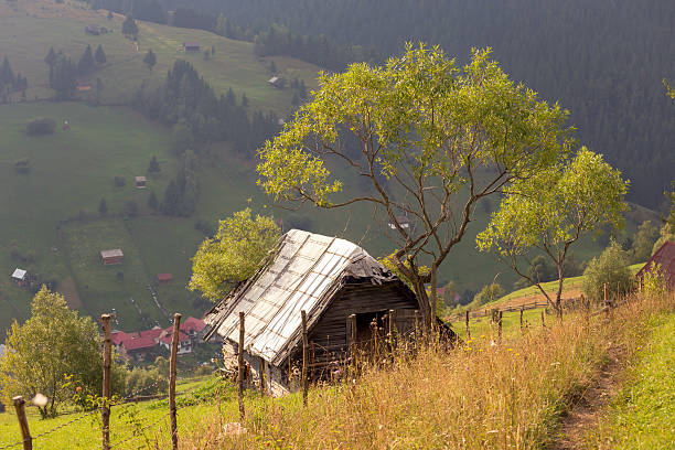 Summer landscape above the village in Moeciu de Sus - Bran, Romania