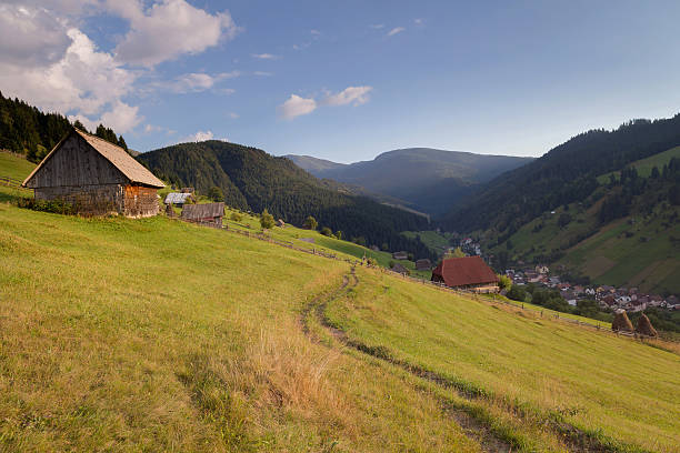 paysage d’été au-dessus du village - romanian hay photos et images de collection