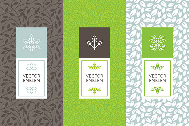 Vector set of packaging design templates Vector set of packaging design templates, seamless patterns and frames with copy space for text for cosmetics, beauty products, organic and healthy food with green leaves and flowers - modern style ornaments and backgrounds label patterns stock illustrations