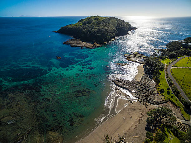 istock Goat Island Marine Reserve 597963606