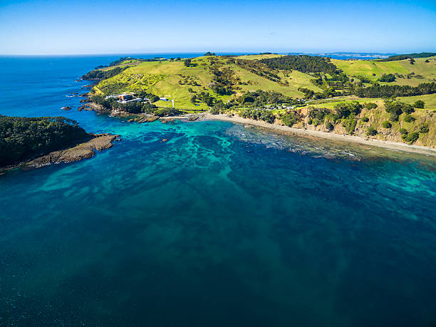 istock Goat Island Marine Reserve 597964080
