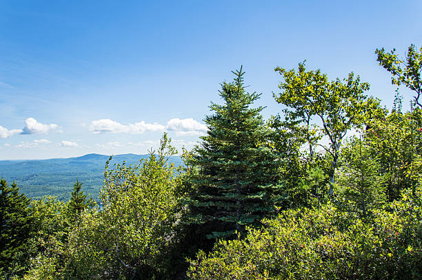 istock Hiking in Maine, Mount Major 597964252