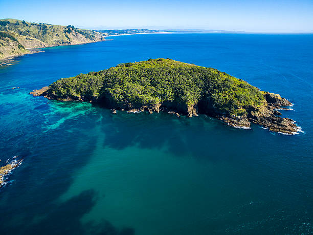 istock Goat Island Marine Reserve 597964448