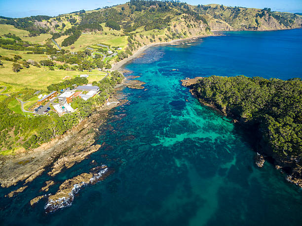 istock Goat Island Marine Reserve 597964530