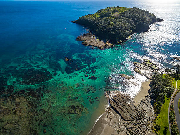 istock Goat Island Marine Reserve 597964694