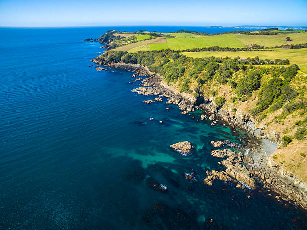istock Goat Island Marine Reserve 597965112