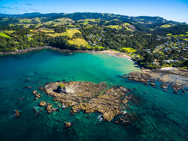 istock Goat Island Marine Reserve 597965492