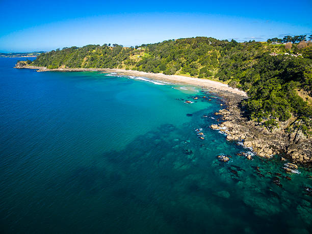 istock Goat Island Marine Reserve 597965796