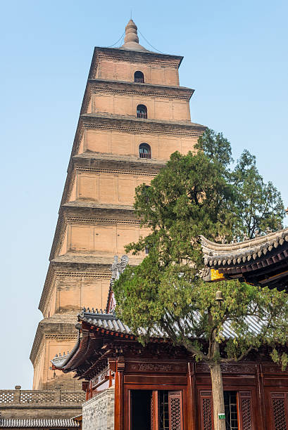 pagode géante de l’oie sauvage à xi’an - chine - shaanxi province buddhism china tower photos et images de collection