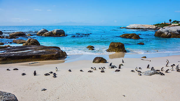 istock The Atlantic coast of Africa 597967330