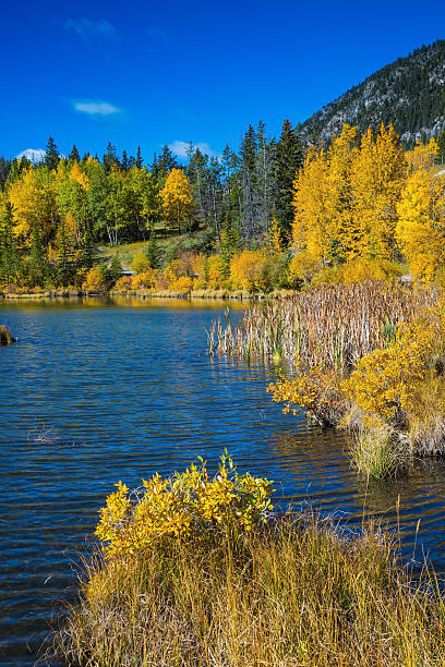 istock The Rocky Mountains, Banff 597969500