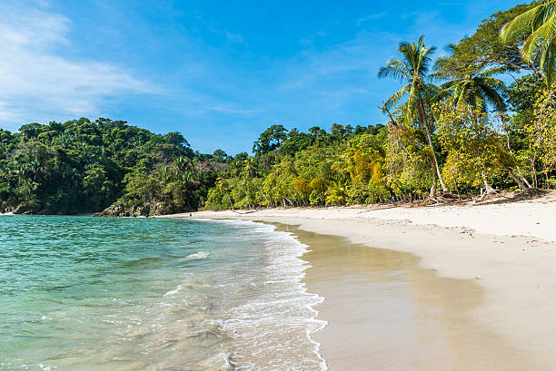 istock Manuel Antonio, Costa Rica - beautiful tropical beach 597969534