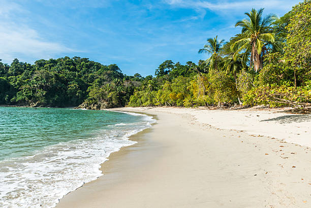 istock Manuel Antonio, Costa Rica - beautiful tropical beach 597971214