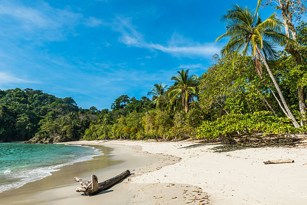 istock Manuel Antonio, Costa Rica - beautiful tropical beach 597971940