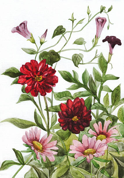 istock Flowers. Botanical illustration. Watercolor painting 597972240