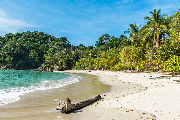 istock Manuel Antonio, Costa Rica - beautiful tropical beach 597972276