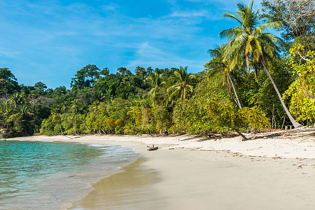 istock Manuel Antonio, Costa Rica - beautiful tropical beach 597972602
