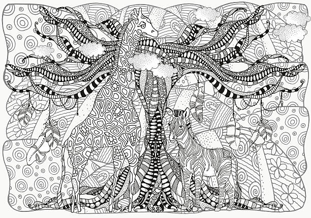 Coloring Book page for Adult and children. Giraffe and Zebra Coloring Book page for Adult and children. Giraffe and Zebra with old tree. Black and white monochrome background. Feathers, boho, doodle. african animals coloring pages stock illustrations