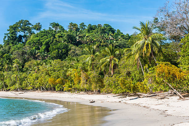 istock Manuel Antonio, Costa Rica - beautiful tropical beach 598052566
