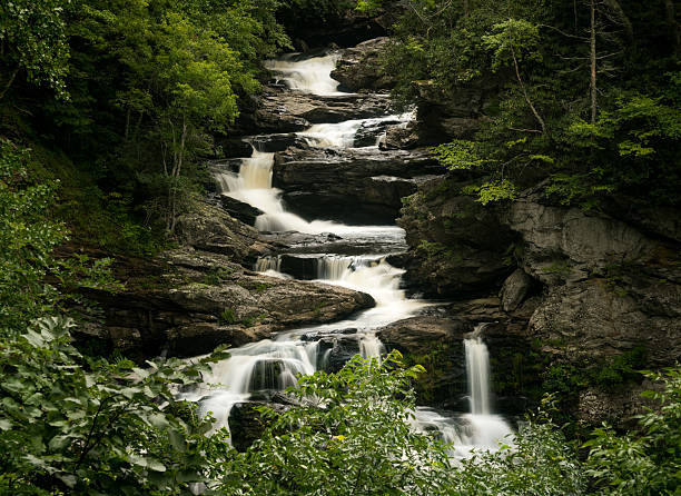 컬라자 폭포 폭포 에 산물 경치 - cullasaja falls 뉴스 사진 이미지